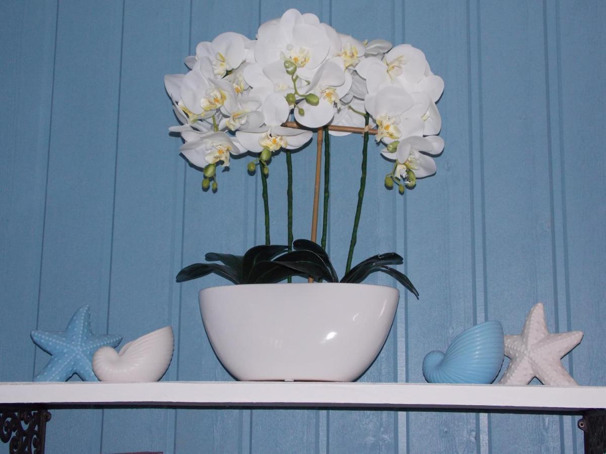 Chambre De La Nonne En Vacances Dol-de-Bretagne Luaran gambar